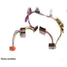 FAISCEAU KIT MAIN LIBRE AUDI TT 2001-2006 - ENTREE TEL-CK3100